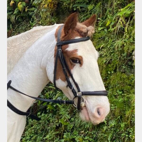 387495553 873919194462447 4099171869294507919 n Thumbnail