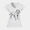 Softstyle™ women's v-neck t-shirt Thumbnail