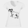 Softstyle™ women's v-neck t-shirt Thumbnail