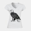 Softstyle™ women's v-neck t-shirt Thumbnail