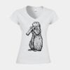 Softstyle™ women's v-neck t-shirt Thumbnail