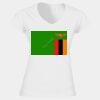 Softstyle™ women's v-neck t-shirt Thumbnail