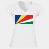 Softstyle™ women's v-neck t-shirt Thumbnail