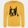 AWDis sweatshirt. Thumbnail