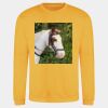 AWDis sweatshirt. Thumbnail