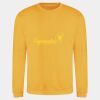AWDis sweatshirt. Thumbnail