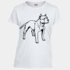 Heavy Cotton™ women's t-shirt Thumbnail